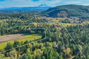 17328 Mulqueen Rd SE, Rainier, WA 98576 - Photo 1