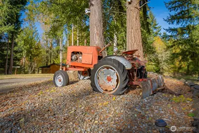 17328 Mulqueen Road SE, Rainier, WA 98576 - Photo 15