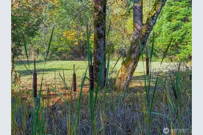 17328 Mulqueen Road SE, Rainier, WA 98576 - Photo 19