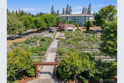 4081 224th Lane SE #210, Issaquah, WA 98029 - Photo 37