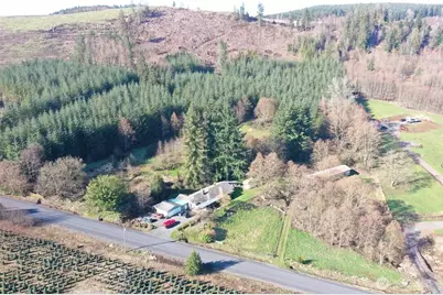 278 Wilson Road, Mossyrock, WA 98564 - Photo 3