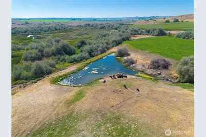 1461 Sheffield Road, Mesa, WA 99343 - Photo 5