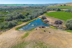 1461 Sheffield Rd, Mesa, WA 99343 - Photo 5