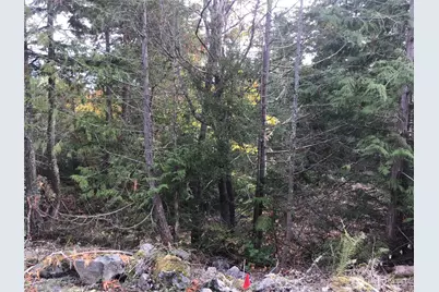 11939 New Morning Drive, Anacortes, WA 98221 - Photo 21