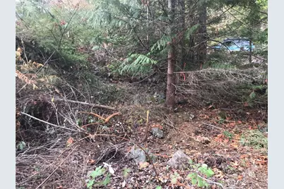 11939 New Morning Drive, Anacortes, WA 98221 - Photo 13