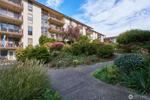 13229 Linden Ave N, Seattle, WA 98133 - Photo 11