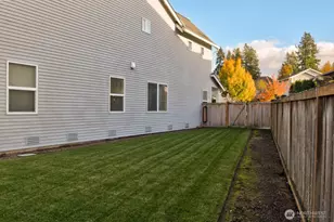 3172 Sheaser Way, DuPont, WA 98327 - Photo 33