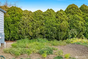 4815 NE Airway Dr, Moses Lake, WA 98837 - Photo 11