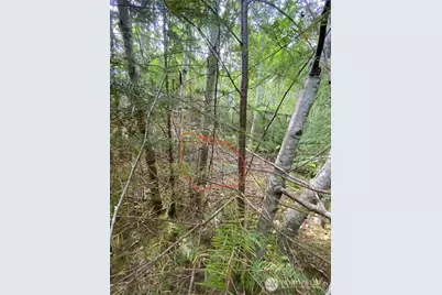 9 E Nightingale Place, Belfair, WA 98528 - Photo 5