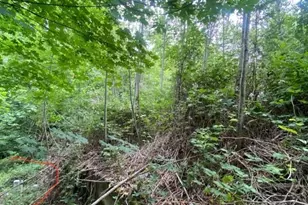 9 E Nightingale Pl, Belfair, WA 98528 - Photo 1