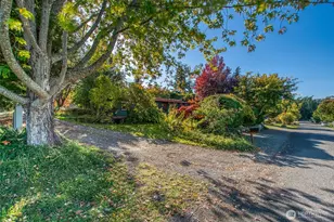 162 Alder St, Orcas Island, WA 98245 - Photo 7