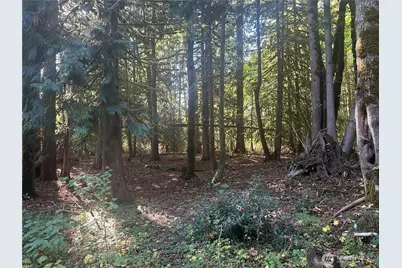 45450 State Route 20, Concrete, WA 98237 - Photo 11