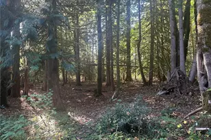 45450 State Rte 20, Concrete, WA 98237 - Photo 11