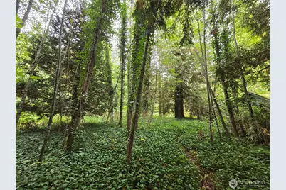 22123 NE 170th Place, Woodinville, WA 98077 - Photo 15