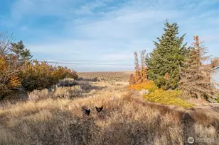 11397 Dodson Rd NW, Ephrata, WA 98823 - Photo 15