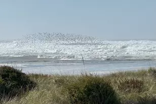 32805 G St, Ocean Park, WA 98640 - Photo 37