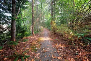 22561 SE 42nd Terrace, Issaquah, WA 98029 - Photo 37