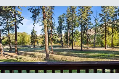106 Wolf Ridge Lane, Dayton, WA 99328 - Photo 3