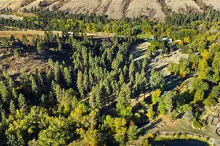 106 Wolf Ridge Ln, Dayton, WA 99328 - Photo 39