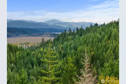 101 E Amy Court, Shelton, WA 98584 - Photo 5