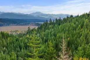 101 E Amy Ct, Shelton, WA 98584 - Photo 5