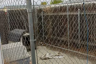 416 N Cedar Ave, Pasco, WA 99301 - Photo 11