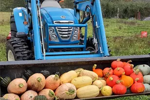 11134 Winlock Ct SE, Olympia, WA 98513 - Photo 29