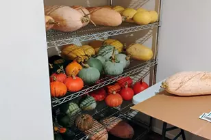 11134 Winlock Ct SE, Olympia, WA 98513 - Photo 31