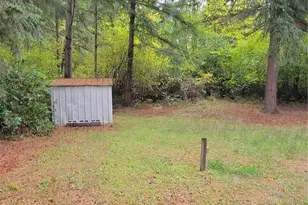 16838 Cornus Ct SE, Yelm, WA 98597 - Photo 3