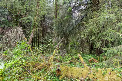 4300 40th Street, Seaview, WA 98644 - Photo 37