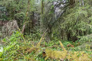 4300 40th St, Seaview, WA 98644 - Photo 37