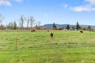 107 S Pass Rd, Nooksack, WA 98276 - Photo 5