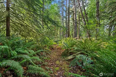 6211 18th Avenue SW, Olympia, WA 98512 - Photo 39