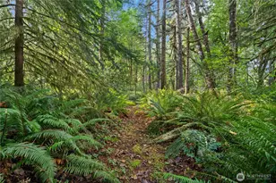 6211 18th Ave SW, Olympia, WA 98512 - Photo 39