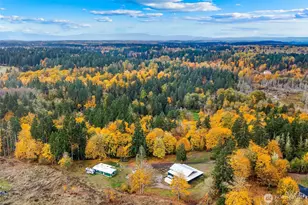 38013 26th Ave S, Roy, WA 98580 - Photo 31