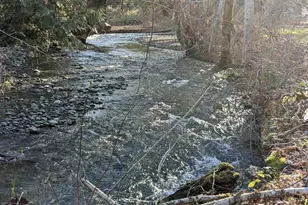 111 N Jorsted Creek Rd, Lilliwaup, WA 98555 - Photo 17