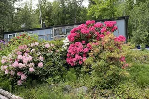 111 N Jorsted Creek Rd, Lilliwaup, WA 98555 - Photo 23