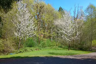 111 N Jorsted Creek Rd, Lilliwaup, WA 98555 - Photo 19