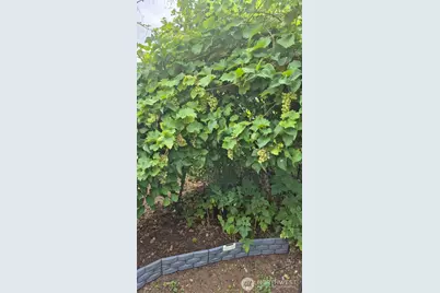 2323 Olympia Avenue NE, Olympia, WA 98506 - Photo 21