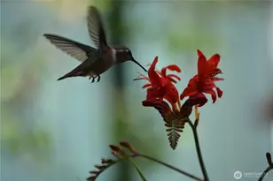 165 Duck Soup Ln, Friday Harbor, WA 98250 - Photo 27