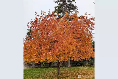 33364 97 Highway, Oroville, WA 98844 - Photo 9