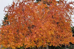 33364 97 Hwy, Oroville, WA 98844 - Photo 9