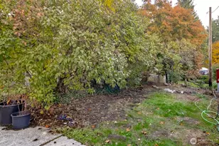 25406 E 37th Ave E, Spanaway, WA 98387 - Photo 9