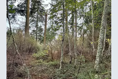 29922 Sr 525, Coupeville, WA 98239 - Photo 29