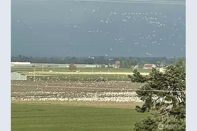 18122 Best Road, Mount Vernon, WA 98273 - Photo 39