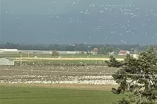 18122 Best Rd, Mount Vernon, WA 98273 - Photo 39