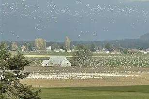 18122 Best Rd, Mount Vernon, WA 98273 - Photo 1