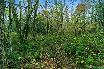 0 Hyak Place, Fox Island, WA 98333 - Photo 7