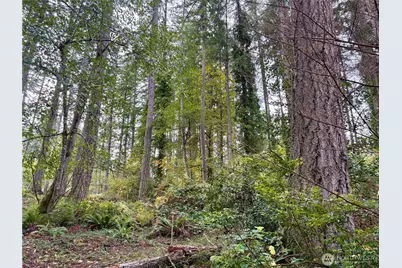0 Hyak Place, Fox Island, WA 98333 - Photo 11