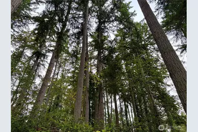 0 Hyak Place, Fox Island, WA 98333 - Photo 1